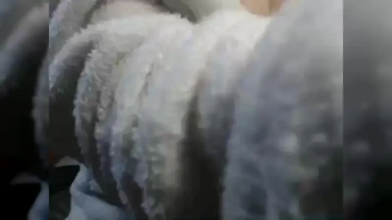Video Tante Toket Gede On Webcam – Nonton Bokep Indo Terbaru Viral