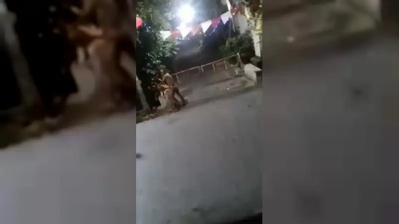 Video Doggy Di Portal Komplek – Nonton Bokep Indo Terbaru Viral