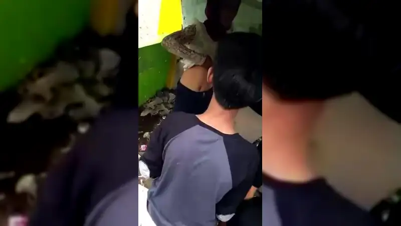 Video Digrepe-grepe ABG Nakal – Nonton Bokep Indo Terbaru Viral
