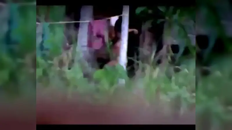 Video Ngintip Pulang Kampung Ada Hiburan – Nonton Bokep Indo Terbaru Viral