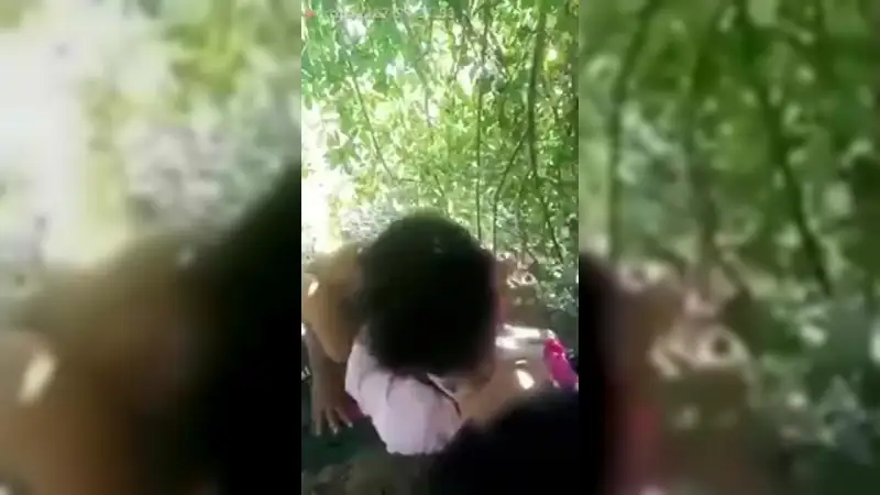 Video Bokep ABG Viral Ngentot Di Hutan – Nonton Bokep Indo Terbaru Viral