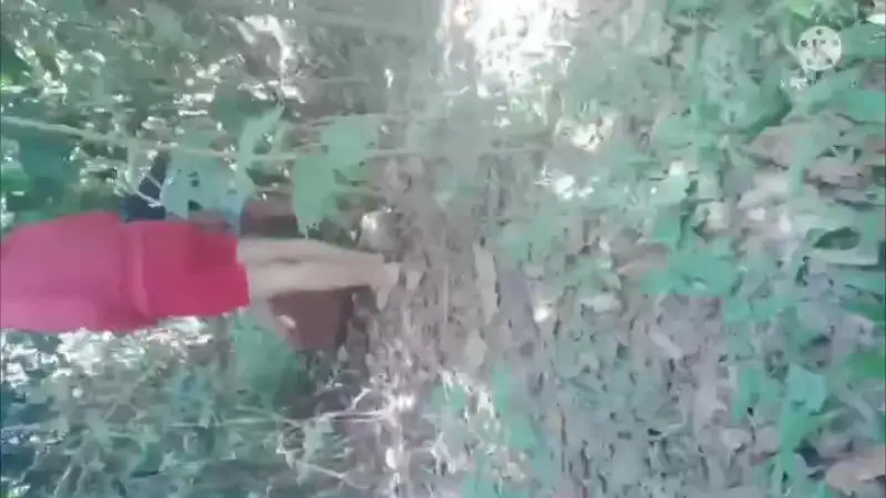 Video Ngentot Di Hutan – Nonton Bokep Indo Terbaru Viral