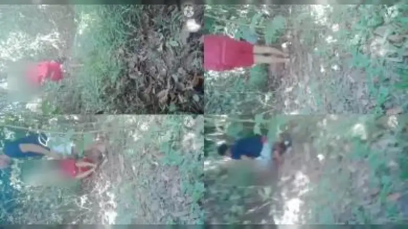 Ngentot Di Hutan – Nonton Bokep Indo Terbaru Viral