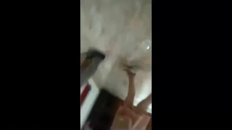 Video Upskirt Cici Cantik – Nonton Bokep Indo Terbaru Viral