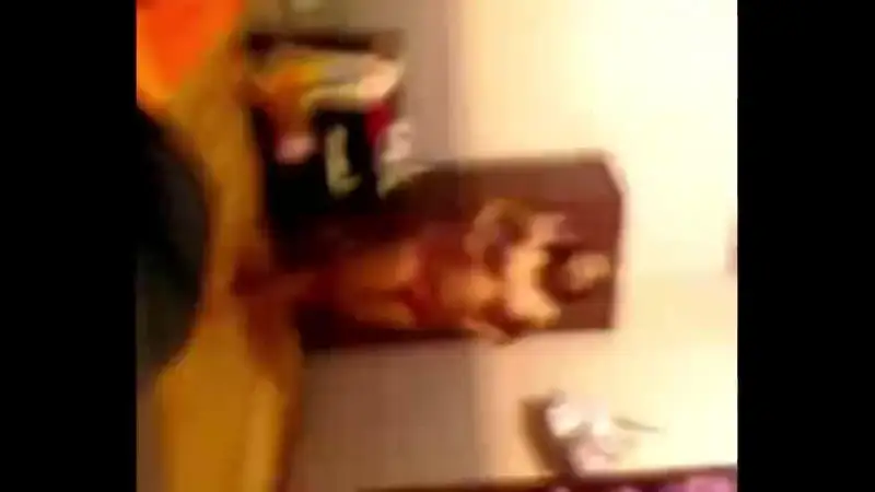 Video Abg Di Kamar Gang Dolly – Nonton Bokep Indo Terbaru Viral