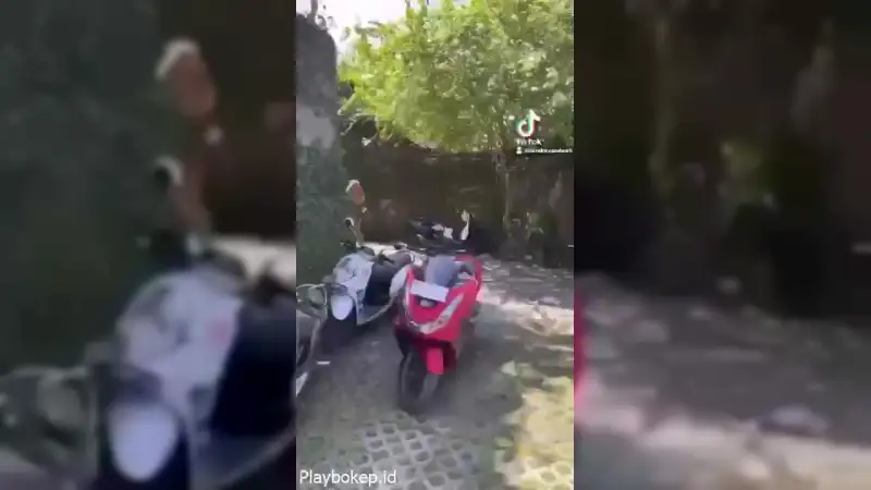 Video Keseharian Di Villa Bali – Nonton Bokep Indo Terbaru Viral