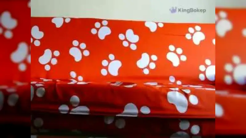 Video Sex Streaming ABG Bispak Jakarta ML di Hotel – Nonton Bokep Indo Terbaru Viral