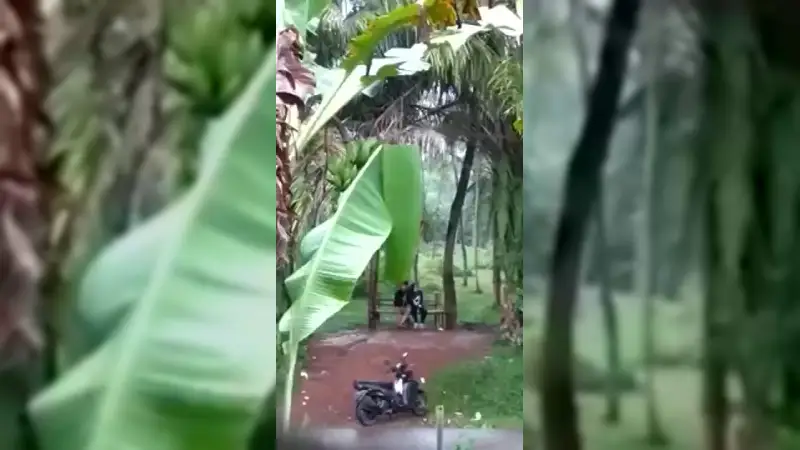 Video Pacaran Di Kebon Terekam – Nonton Bokep Indo Terbaru Viral