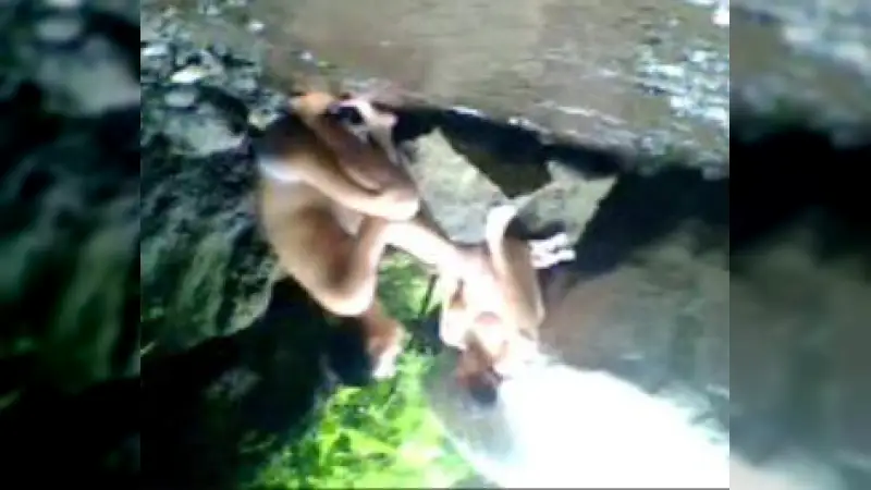 Ngentot di sungai alam terbuka Jadul HOT! – Nonton Bokep Indo Terbaru Viral