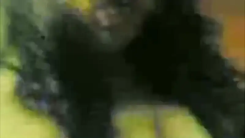 Video Abg Wot Keenakan Teriak Sayang Sayang – Nonton Bokep Indo Terbaru Viral